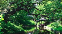 Saat berkunjung, traveler bisa berkeliling sekitar istana termasuk ke Secret Garden (Korea Tourism Organization)