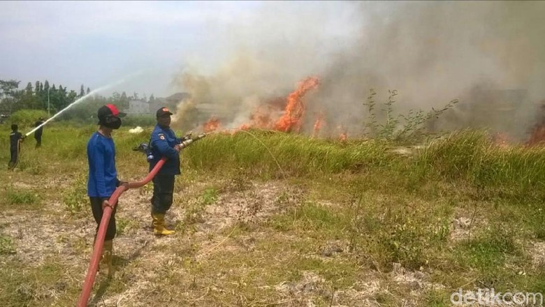Ratusan Hektare Hutan di Mojokerto Terbakar, Ini Pemicunya Ratusan Hektare Hutan di Mojokerto Terbakar, Ini Pemicunya