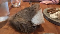 Iihh agak geli ya kalau melihat roti disajikan dengan wadah berbulu seperti ini. Takut bulunya tercampur makanan. Mungkin selera makan bukannya meninngkat tapi malah menghilang. Foto: Istimewa