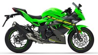 model baru ini memiliki kapasitas mesin 125 cc. Motor bakal dinamakan Kawasaki Ninja 125 untuk versi fairing sport dan Z125 untuk versi naked-nya. Foto: pool (motorcycle)