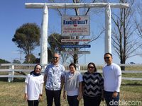 Seru! Melihat Proses Pemeliharaan hingga Pengemasan Wagyu Australia