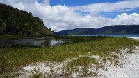 Selain itu, di sebelah pantai pasir putih ini ada anak danau atau laguna. Lokasinya hanya dipisah pantai pasir putih itu (Masaul/detikTravel)