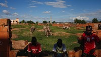 Menggunakan keledai bukan tanpa alasan. Mali merupakan salah satu negara termiskin di dunia yang sedang berjuang mengatasi problema negaranya (Luc Gnago/Reuters)  