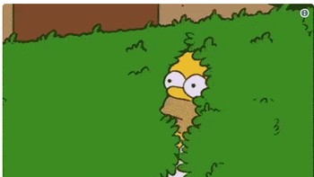 Meme ini menyanjung performa kamera iPhone XS yang bakal bikin pabrikan kamera jadi minder seperti Homer Simpson yang sembunyi di pagar tanaman. (Foto: Twitter)