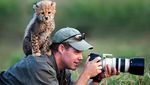 Foto-foto Lucu Saat Fotografer Satwa Liar Diganggu Hewan