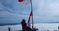 (Michelle de Jonker/detikTravel)