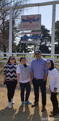 Seru! Melihat Proses Pemeliharaan hingga Pengemasan Wagyu Australia