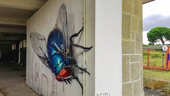 Serangga ini tampak seperti nyata hinggap di tembok. (Foto: instagram.com/odeith via Brightside)