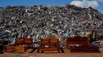 Foto: Keledai Unik Pengangkut Sampah dari Afrika