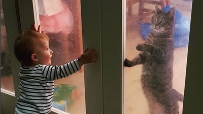 Lucu Deh, Saat Anak Punya Chemistry dengan Kucing Peliharaan