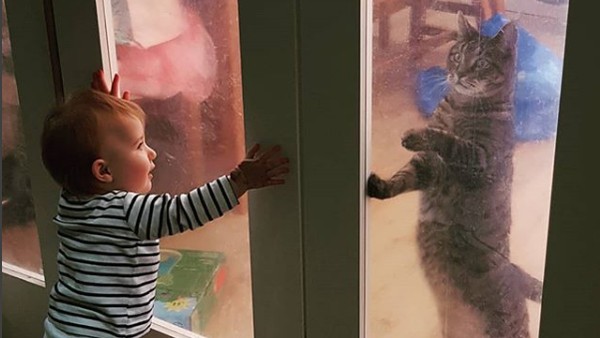 Lucu Deh, Saat Anak Punya Chemistry dengan Kucing Peliharaan