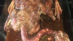 Daging Monyet hingga Kelelawar Rebus, Ini 10 Foto Masakan yang Bikin Mual