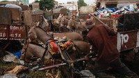 Petugas akan dataang ke rumah-rumah penduduk untuk mengambil sampah yang kemudian dikumpulkan di gerobak. Gerobak ini ditarik oleh seekor keledai (Luc Gnago/Reuters)  