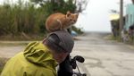 Foto-foto Lucu Saat Fotografer Satwa Liar Diganggu Hewan