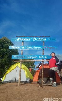 (Michelle de Jonker/detikTravel)