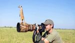Foto-foto Lucu Saat Fotografer Satwa Liar Diganggu Hewan