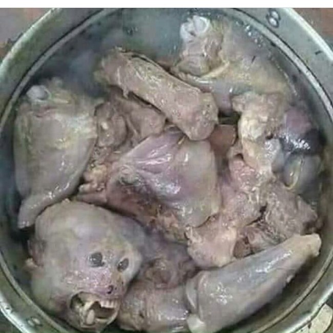 5 Daging Hewan di Pasar Tomohon, Pasar Daging Paling Ekstrem di Dunia