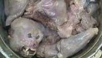 Daging Monyet hingga Kelelawar Rebus, Ini 10 Foto Masakan yang Bikin Mual