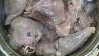 Waduh! Kalau masakan yang satu ini terdiri dari potongan daging monyet. Tapi yang bikin seram, kepala monyet dengan mata terbuka dan taring tajam juga ada di sana. Foto: Istimewa