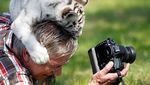 Foto-foto Lucu Saat Fotografer Satwa Liar Diganggu Hewan