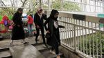 Waduh! JPO Sumber Waras Dikuasai PKL