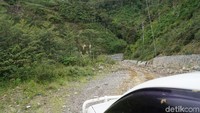 Mulanya, Bupati Pegaf hanya memberi HT bagi setiap kepala kampung. Namun warga yang ikut-ikutan beli sendiri (Masaul/detikTravel)