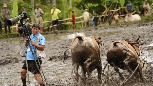 (Robertus Pudyanto/Getty Images)