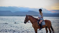 Bukan Alica kalau tak mencoba banyak hal di Bali. Setelah surfing, Alica mencoba untuk berkuda dengan latar sunset di pantai (alicasmd/Instagram)