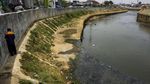 Begini Perbedaan Sungai Cheonggyecheon dan Sungai Ciliwung