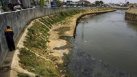 Inilah penampakan Sungai Ciliwung di Jakarta. Antara Foto/Galih Pradipta.