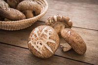 Sering Dikonsumsi, 12 Makanan Ini Ternyata Mengandung Serangga (2)