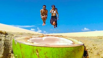 Muncul dari dalam kelapa. Foto: via Brightside