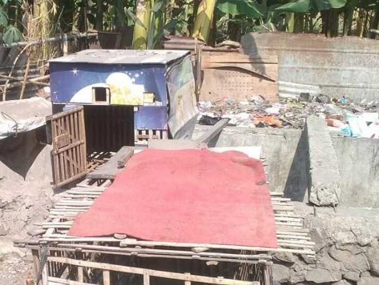 Bayi Tak Bernyawa Ditemukan Terbuang di Kandang Ayam Bayi Tak Bernyawa Ditemukan Terbuang di Kandang Ayam