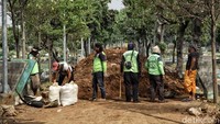 Selain itu menurut petugas Suku Dinas Pertamanan dan Pemakaman Jakarta Utara, setiap bulannya mereka harus menguruk tanah untuk lahan makam, karena jumlah lahan makam di TPU Budi Darma yang semakin berkurang akibat makin banyak warga Jakarta Utara yang  memilih makam di TPU Budi Darma. 