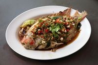 Siang Ini Enaknya Makan Ikan Kukus Rendah Lemak di Sini