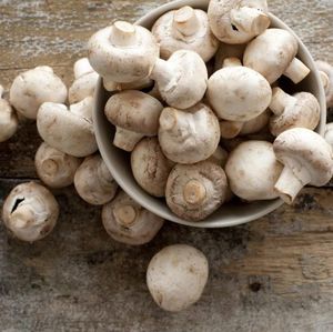 Kisah Sukses Petani Jamur, Modal Rp 1 Juta Kini Omzet Rp 120 Juta Kisah Sukses Petani Jamur, Modal Rp 1 Juta Kini Omzet Rp 120 Juta