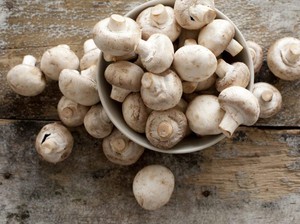 Kisah Sukses Petani Jamur, Modal Rp 1 Juta Kini Omzet Rp 120 Juta