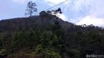 Foto: Kesejukan Telomoyo yang Eksotis