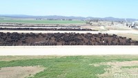 Dari ketinggian, ini kumpulan ribuan sapi yang ada di area pemberian pakan atau feedlot. Untuk masuk ke area ini, berat sapi sudah harus 400 kg. Foto: dok. detikFood/Istimewa