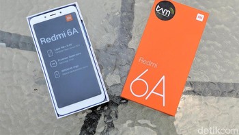 Varian yang menyambangi detik berwarna biru. Foto: Adi Fida Rahman/detikINET