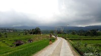 Alunan suara angklung maupun kiling yang tertiup angin menyambut para wisatawan yang hadir di lokasi. Jalur trekking yang berkelok-kelok juga tertata apik (Aditya Mardiastuti/detikTravel)