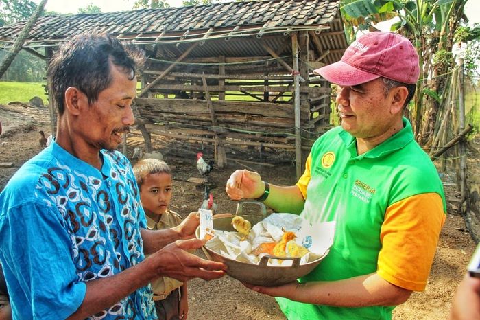 Foto: kementan Foto: kementan