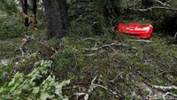 Sebuah mobil ringsek tertimpa pohon. REUTERS/Jonathan Drake.