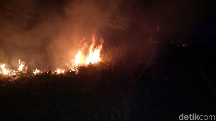 Kebakaran Terjadi di Hutan Jati Cilacap