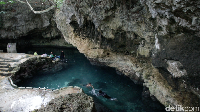 Mereka berdua diajak berenang ke Kontamale di Wanci. Suatu kolam alami yang jernih (Zaky Fauzi Azhar/detikTravel)