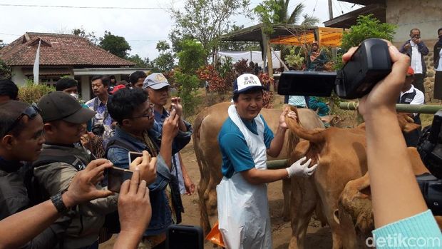 Secuil Potret Desa Wonoayu dalam Wujudkan Jatim Lumbung Sapi Nasional