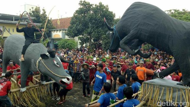 Keboan Aliyan, Tradisi Agraris Desa Banyuwangi agar Panen Berlimpah