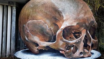 Menjadi begini. Foto: boredpanda