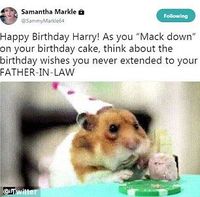 Ultah Ke 34 Kakak Tiri Meghan Markle Samakan Pangeran Harry Dengan Hamster Ultah Ke 34 Kakak Tiri Meghan Markle Samakan Pangeran Harry Dengan Hamster