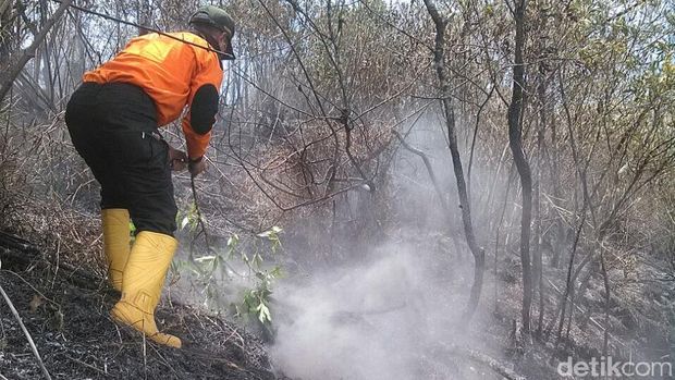 Kebakaran Masih Berkobar di Hutan Gunung Sumbing